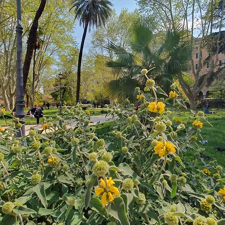 Quiet And Cosy * 罗马